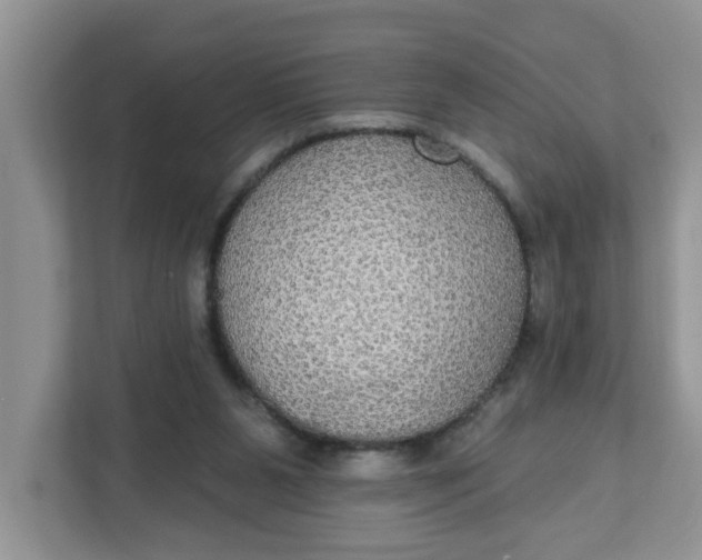 X0000111830111200908061204