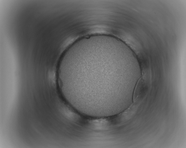 X0000111830112200908061204