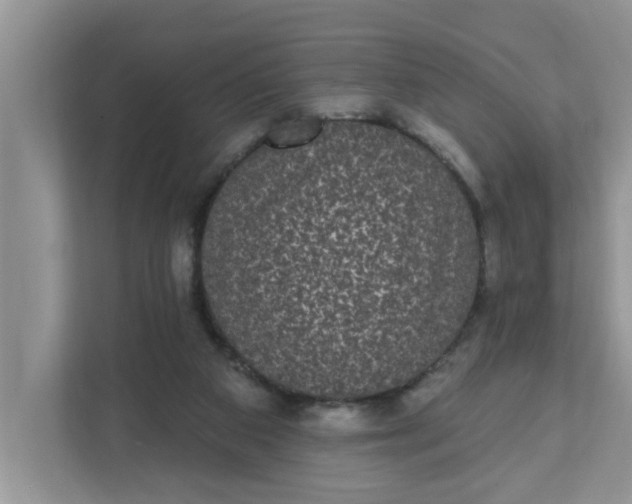 X0000111830113200908061204