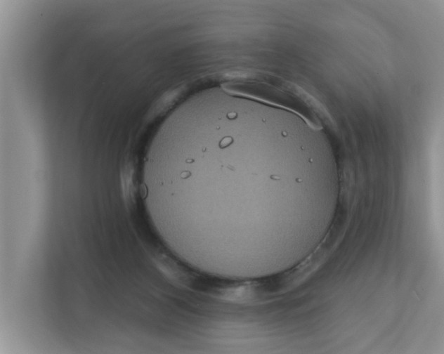 X0000111830116200908061204