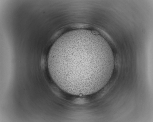 X0000111830119200908061203