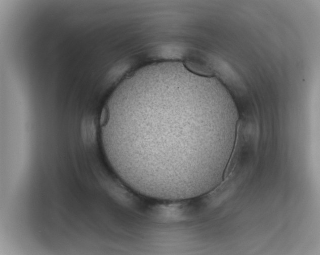 X0000111830120200908061203
