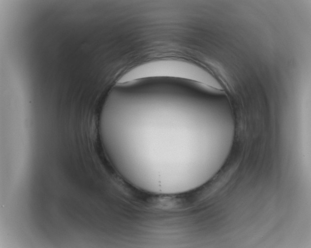 X0000111830121200908061203