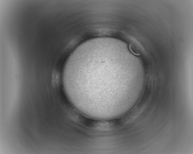 X0000111830123200908061203