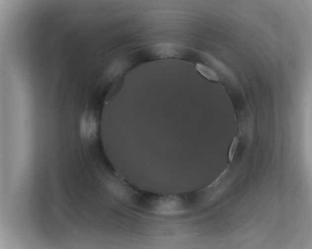 X0000111830124200908061203