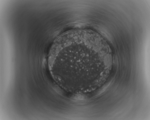 X0000111830127200908061203