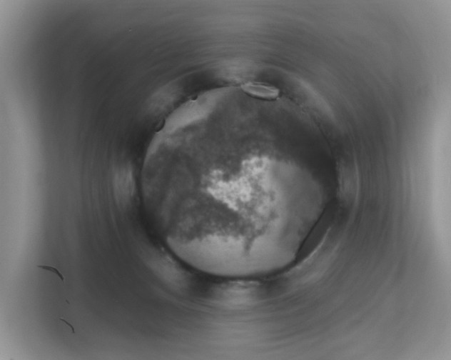 X0000111830128200908061203