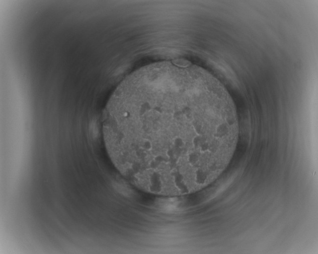 X0000111830131200908061203