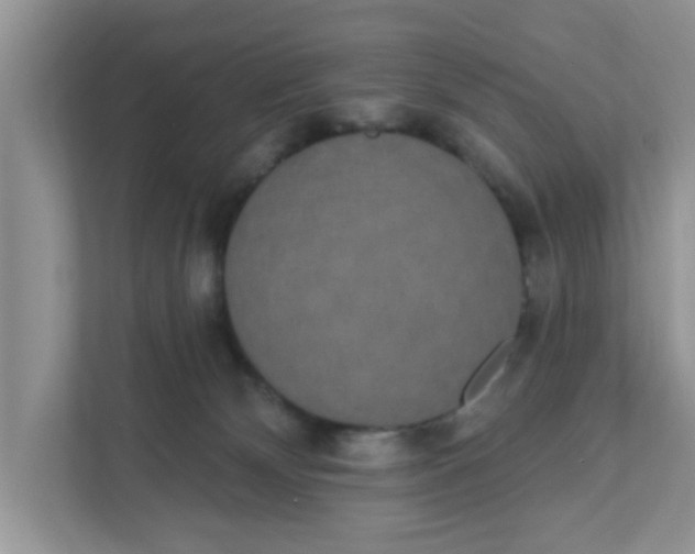X0000111830132200908061203
