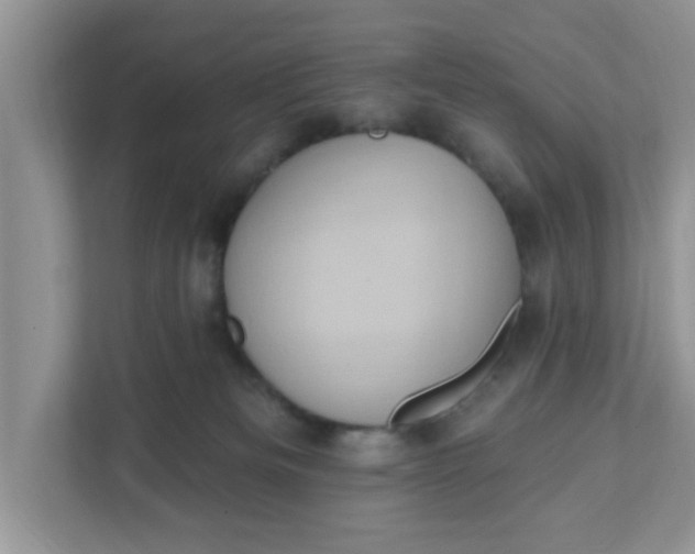 X0000111830133200908061203