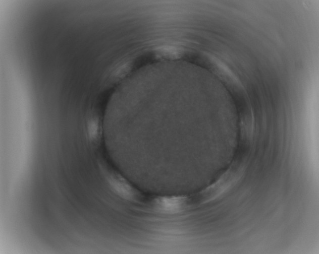 X0000111830134200908061203