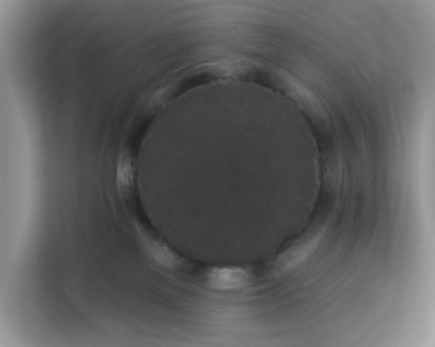 X0000111830137200908061203