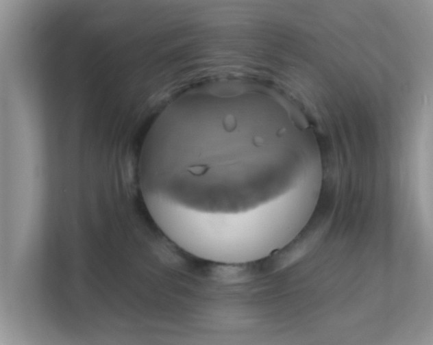 X0000111830139200908061203