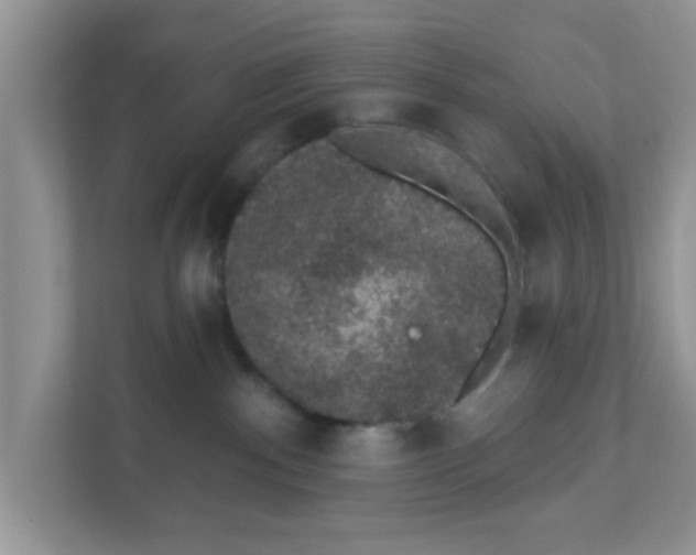 X0000111830140200908061203