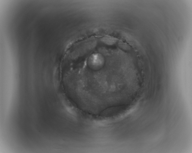 X0000111830144200908061203