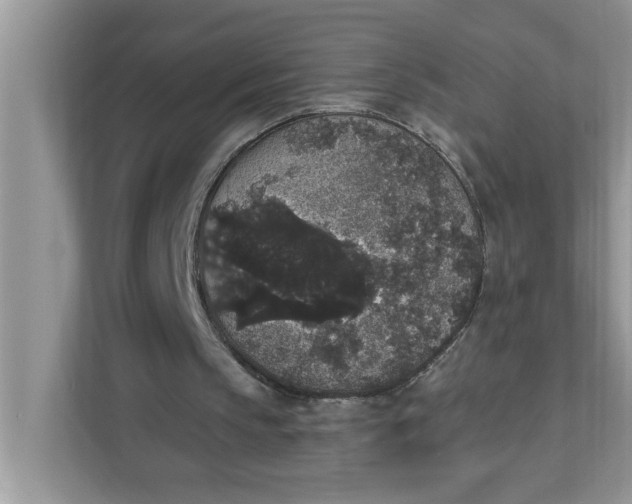 X0000111830145200908061203