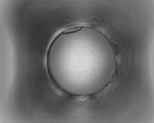 X0000111830148200908061203