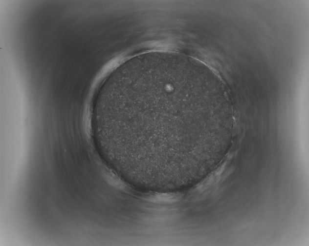 X0000111830149200908061203