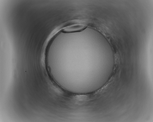 X0000111830150200908061203