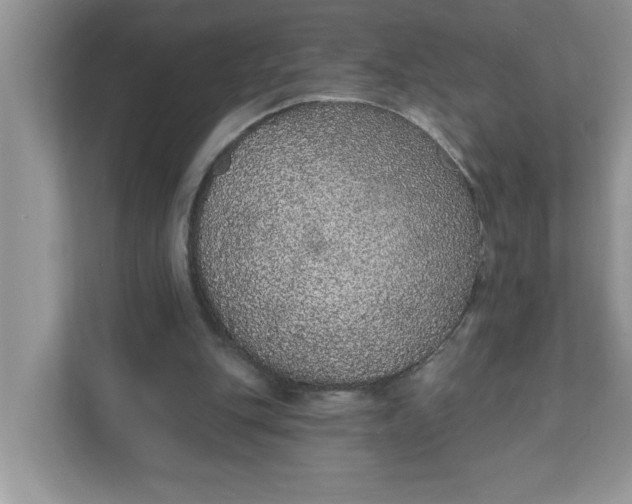 X0000111830151200908061203