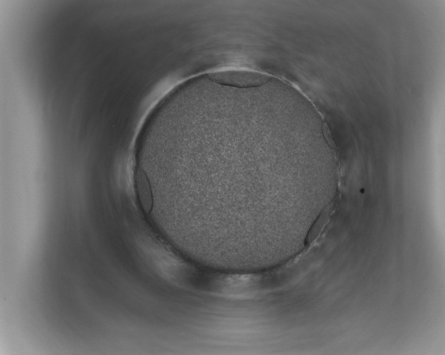 X0000111830152200908061203
