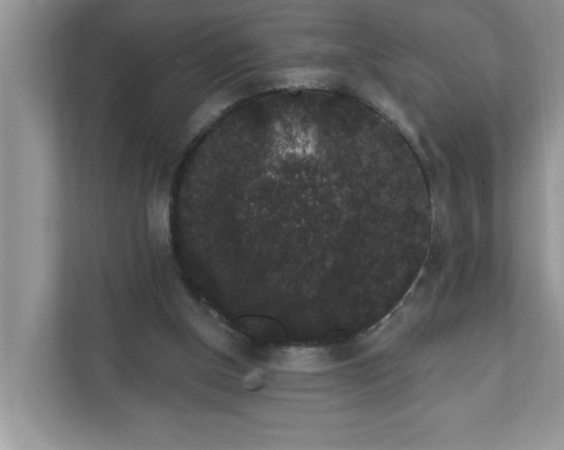 X0000111830154200908061203