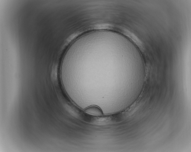 X0000111830155200908061203