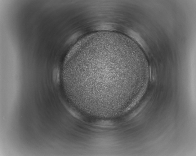 X0000111830157200908061203