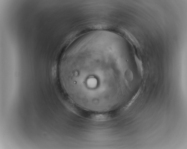 X0000111830163200908061203