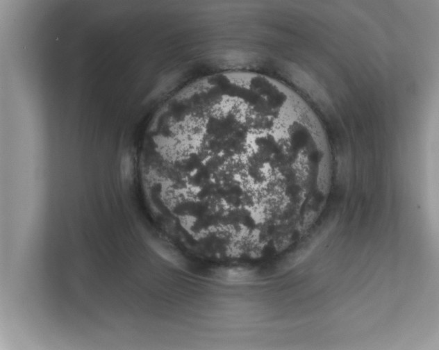 X0000111830165200908061203