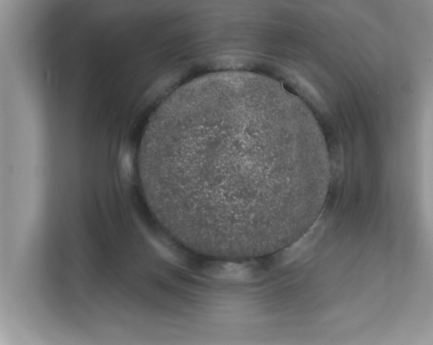 X0000111830166200908061203