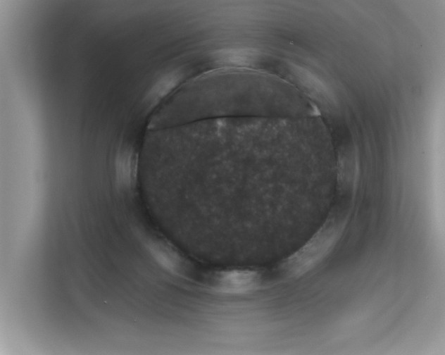 X0000111830168200908061203