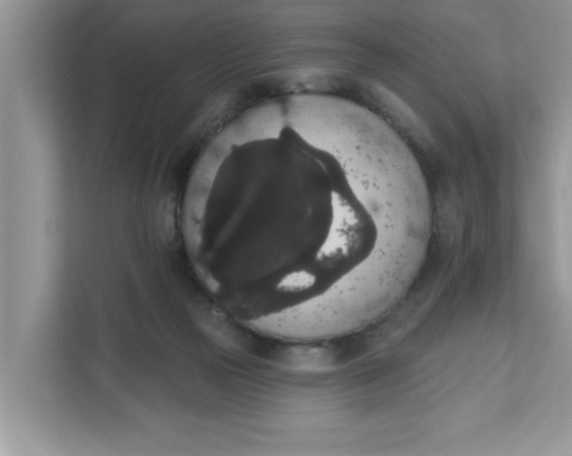 X0000111830169200908061203