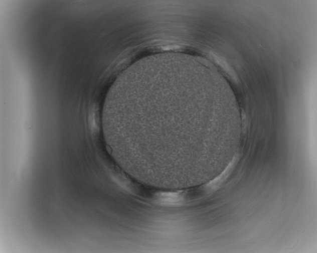 X0000111830170200908061203