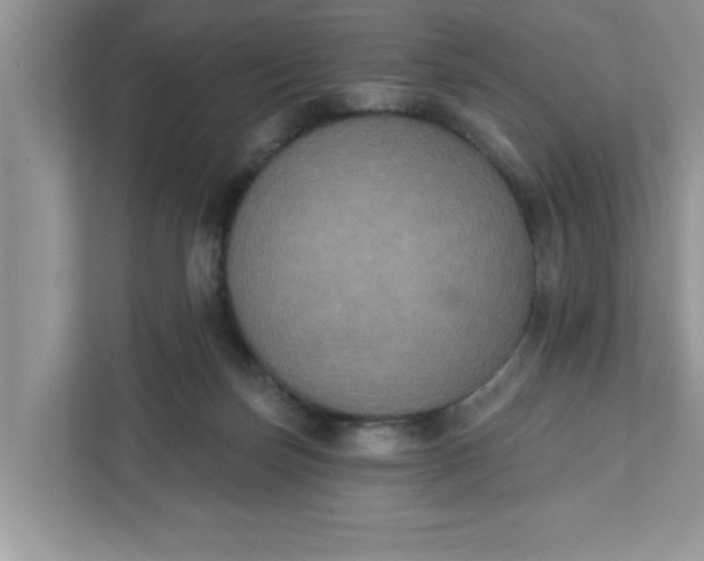 X0000111830171200908061203