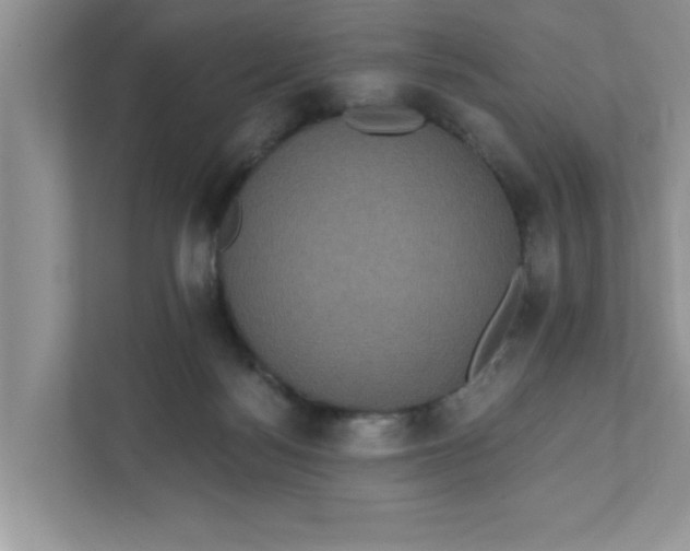 X0000111830172200908061203