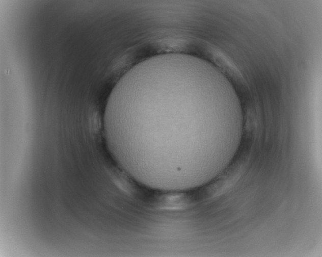 X0000111830173200908061203