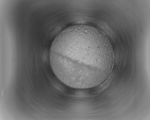 X0000111830175200908061203