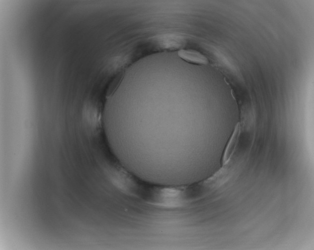 X0000111830176200908061203