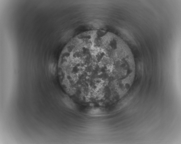 X0000111830177200908061203