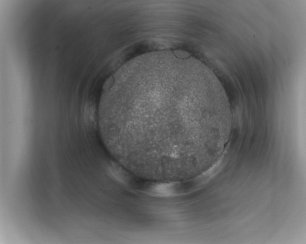 X0000111830178200908061203
