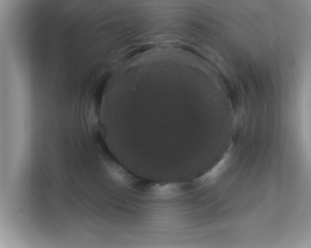 X0000111830186200908061203