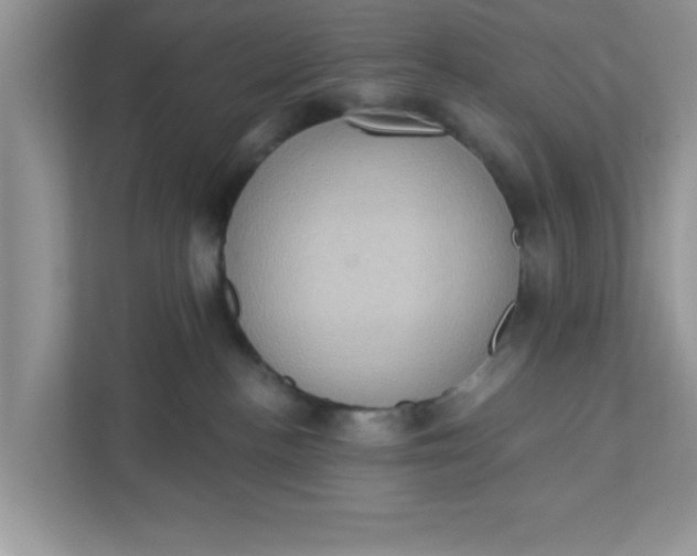 X0000111830188200908061203