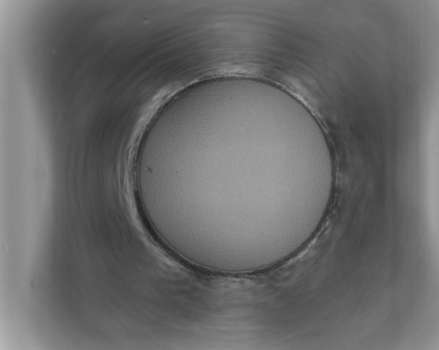 X0000111830193200908061203