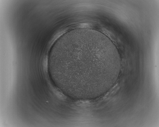 X0000111830194200908061203