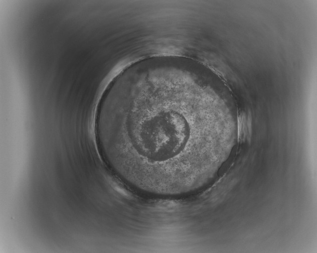 X0000111830195200908061202