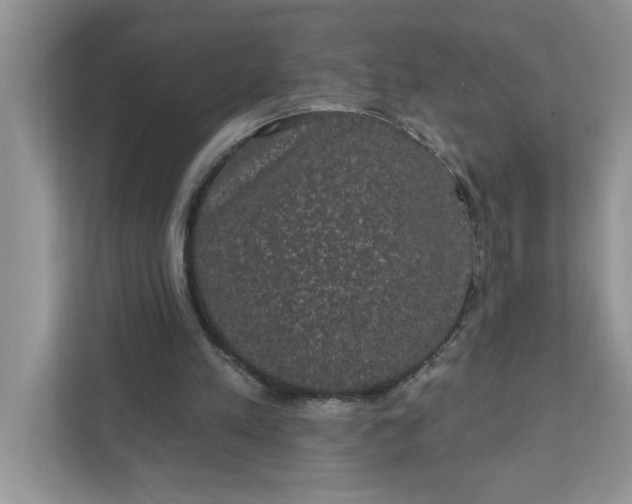 X0000111830197200908061202