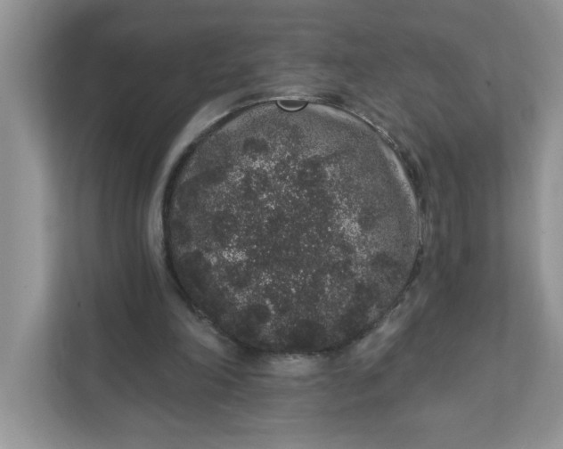 X0000111830198200908061202
