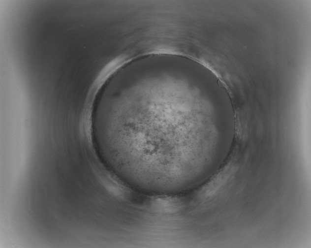 X0000111830199200908061202