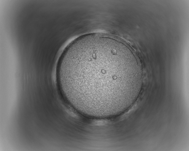 X0000111830200200908061202